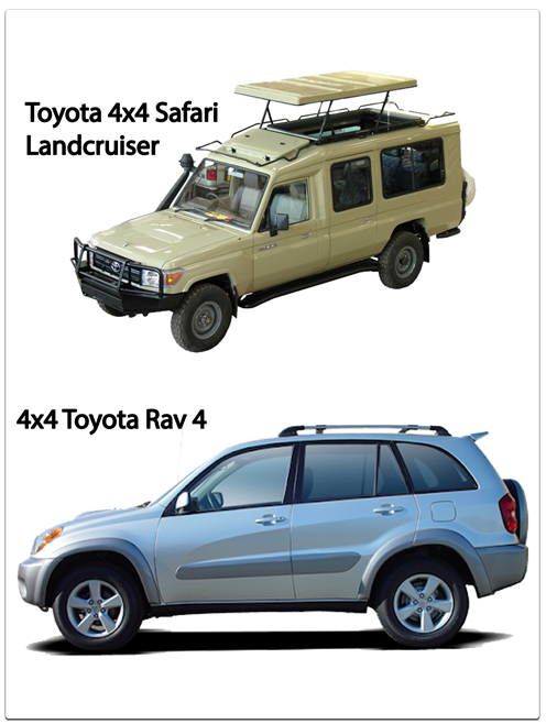 car hire rwanda, car rental rwanda, rwanda car hire, self drive rwanda, rent a car rwanda, 4x4 car hire rwanda, safari car hire rwanda, car hire kigali, 4x4 car rental, rwanda car hire with driver, car self drive rwanda, rent a car kigali, safari car rental rwanda, car rental to akagera national park, car rental to volcanoes national park, car rental to nyungwe national park, car rental to mukura gishwati, self drive rwanda, self drive car rental rwanda, self drive car hire, self drive adventure, self drive safari, rwanda self drive, self-drive rwanda, self drive kigali