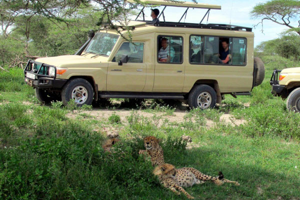 car hire rwanda, car rental rwanda, rwanda car hire, self drive rwanda, rent a car rwanda, 4x4 car hire rwanda, safari car hire rwanda, car hire kigali, 4x4 car rental, rwanda car hire with driver, car self drive rwanda, rent a car kigali, safari car rental rwanda, car rental to akagera national park, car rental to volcanoes national park, car rental to nyungwe national park, car rental to mukura gishwati